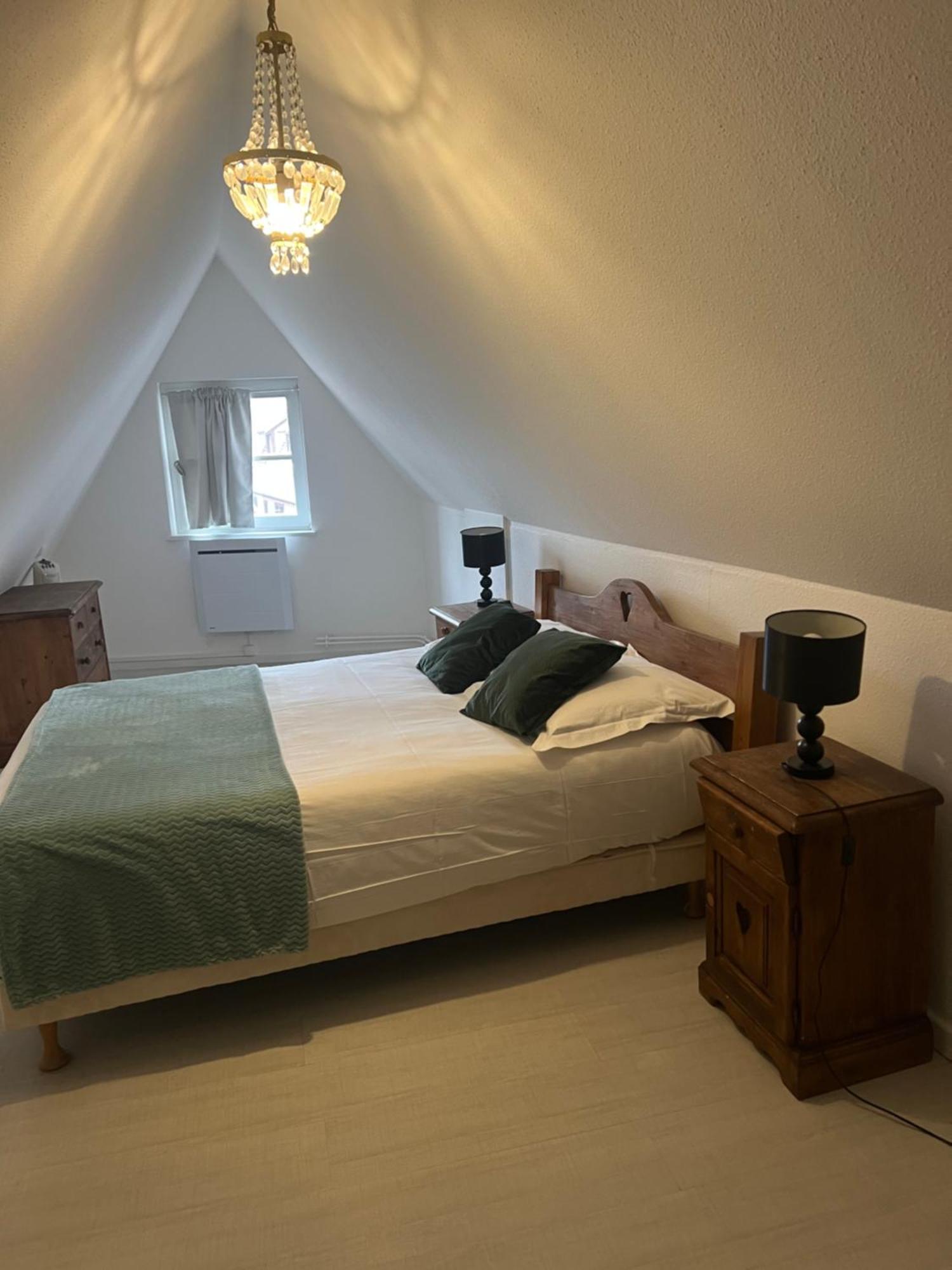 Les Appartements Du Koifhus Colmar Ngoại thất bức ảnh